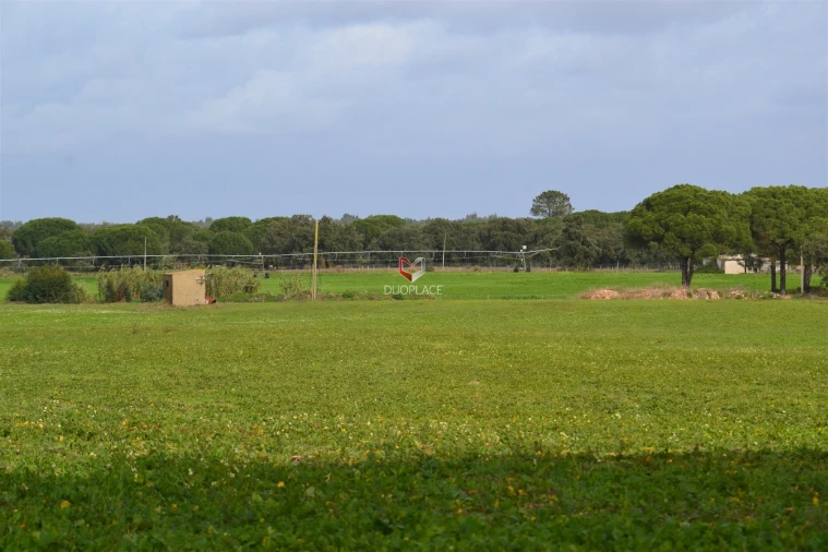 Terreno Agricola ou Rústico para Venda em Poceirão e Marateca Foto 19