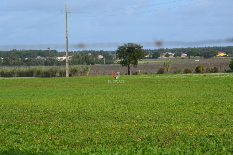 Terreno Agricola ou Rústico para Venda em Poceirão e Marateca Foto 16