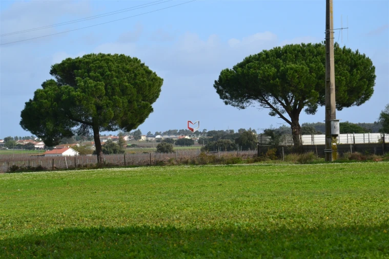 Terreno Agricola ou Rústico para Venda em Poceirão e Marateca Foto 22