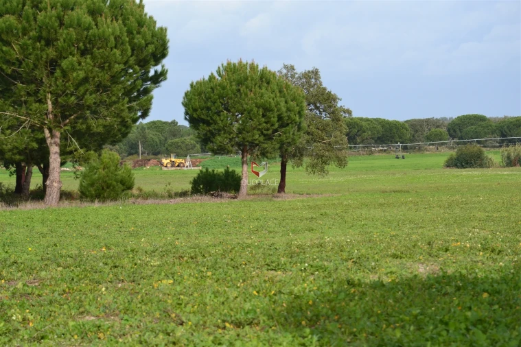 Terreno Agricola ou Rústico para Venda em Poceirão e Marateca Foto 18