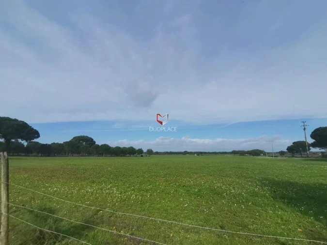 Terreno Agricola ou Rústico para Venda em Poceirão e Marateca Foto 31