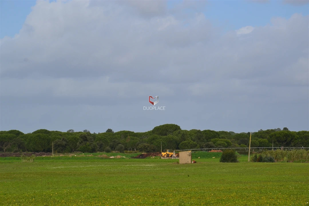 Terreno Agricola ou Rústico para Venda em Poceirão e Marateca Foto 24
