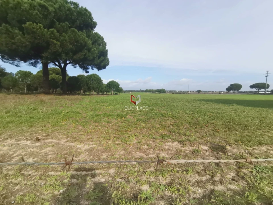 Terreno Agricola ou Rústico para Venda em Poceirão e Marateca Foto 35