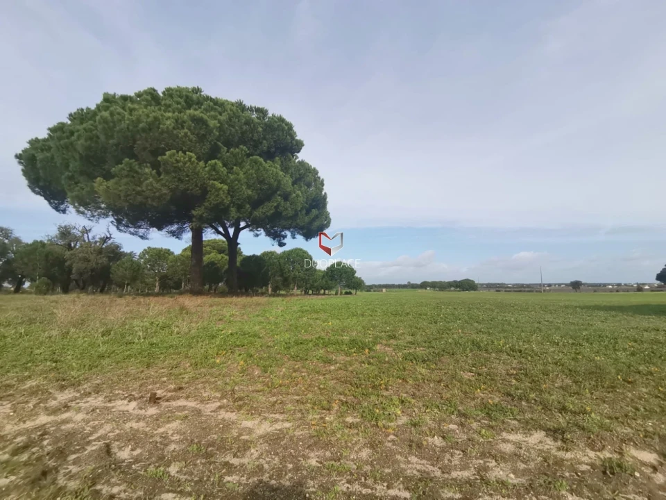 Terreno Agricola ou Rústico para Venda em Poceirão e Marateca Foto 38