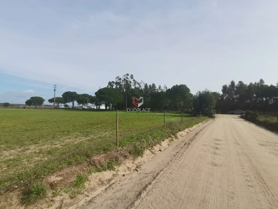 Terreno Agricola ou Rústico para Venda em Poceirão e Marateca Foto 32