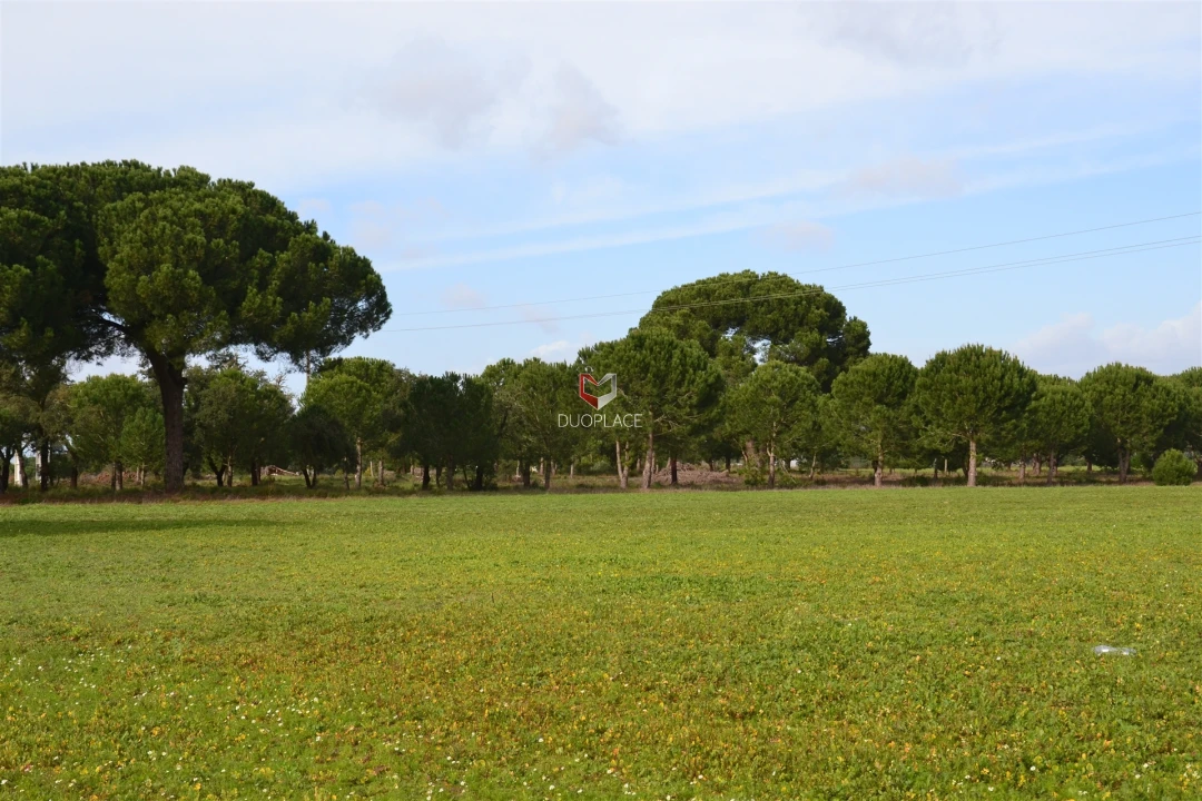 Terreno Agricola ou Rústico para Venda em Poceirão e Marateca Foto 9