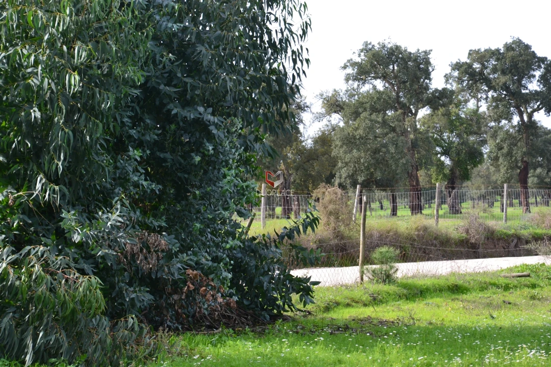 Terreno Agricola ou Rústico para Venda em Poceirão e Marateca Foto 30