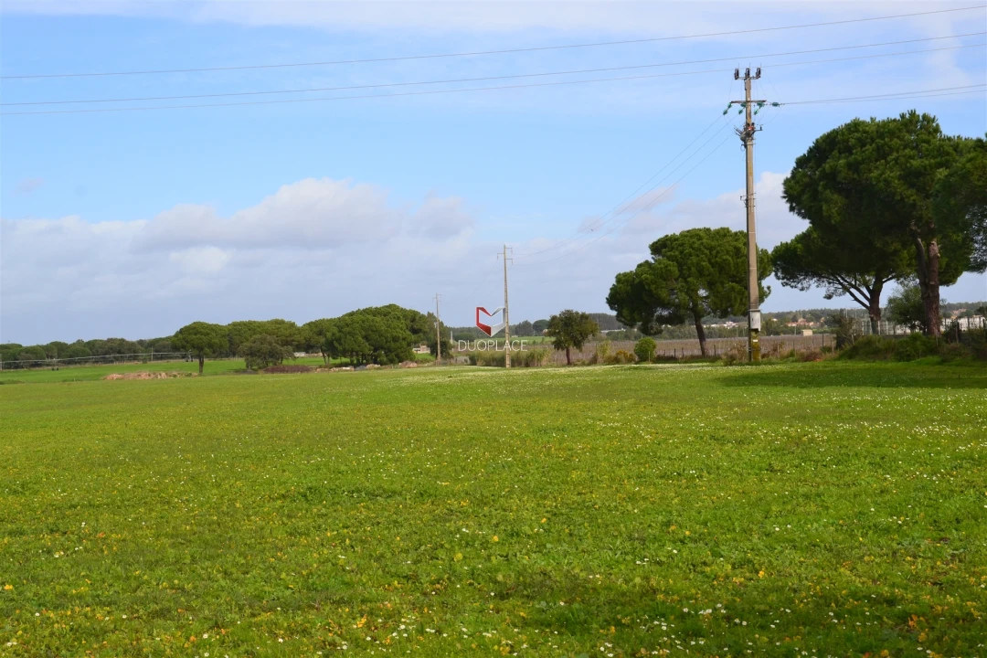 Terreno Agricola ou Rústico para Venda em Poceirão e Marateca Foto 10