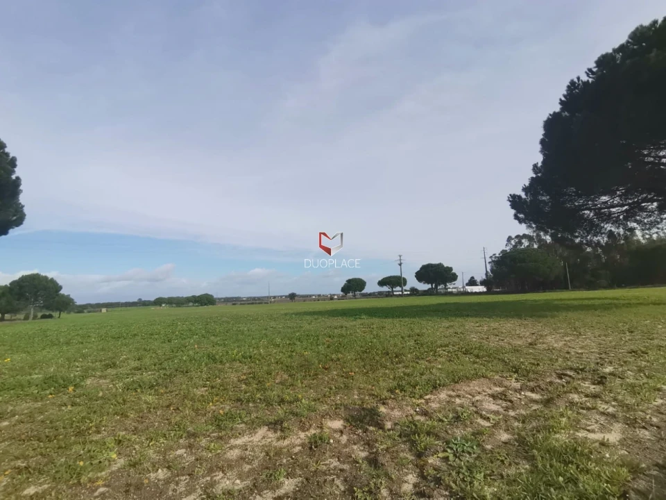 Terreno Agricola ou Rústico para Venda em Poceirão e Marateca Foto 34