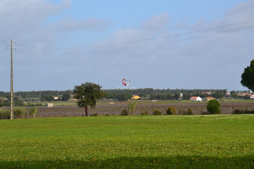 Terreno Agricola ou Rústico para Venda em Poceirão e Marateca Foto 21