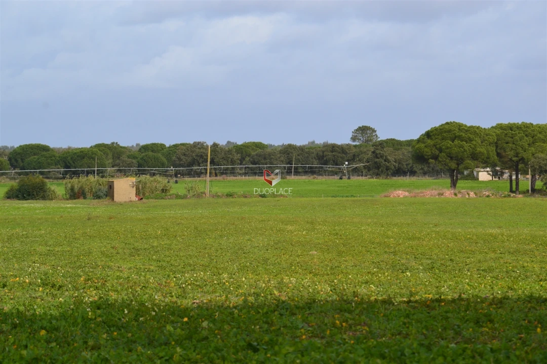 Terreno Agricola ou Rústico para Venda em Poceirão e Marateca Foto 19