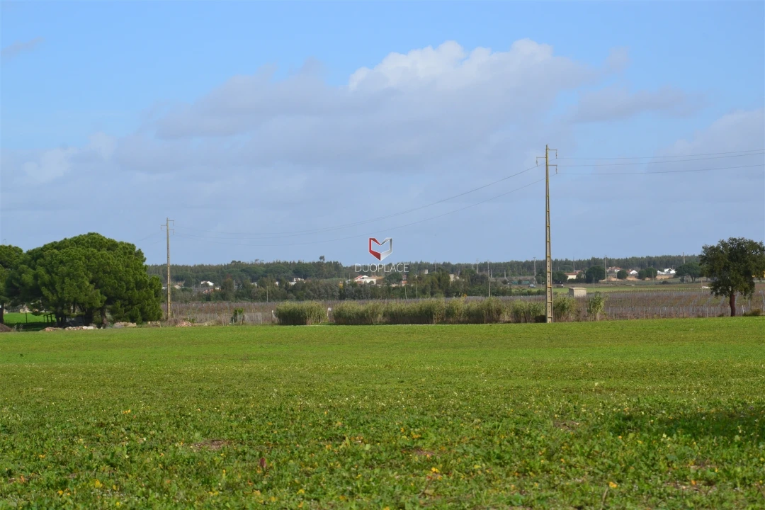 Terreno Agricola ou Rústico para Venda em Poceirão e Marateca Foto 23