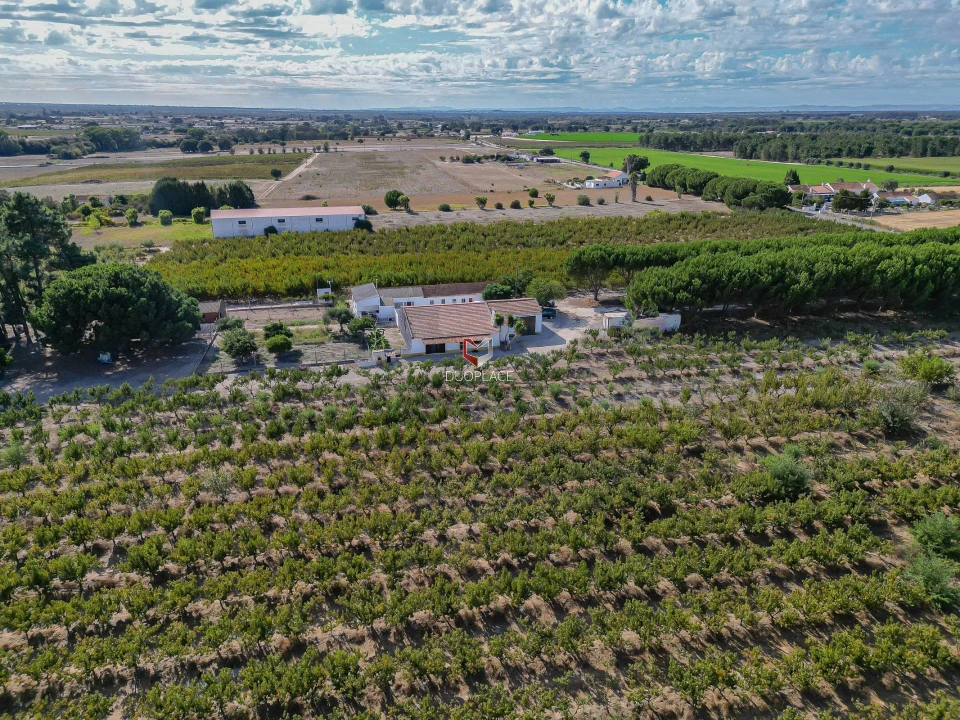 Quinta T0 para Venda em Poceirão e Marateca Foto 34