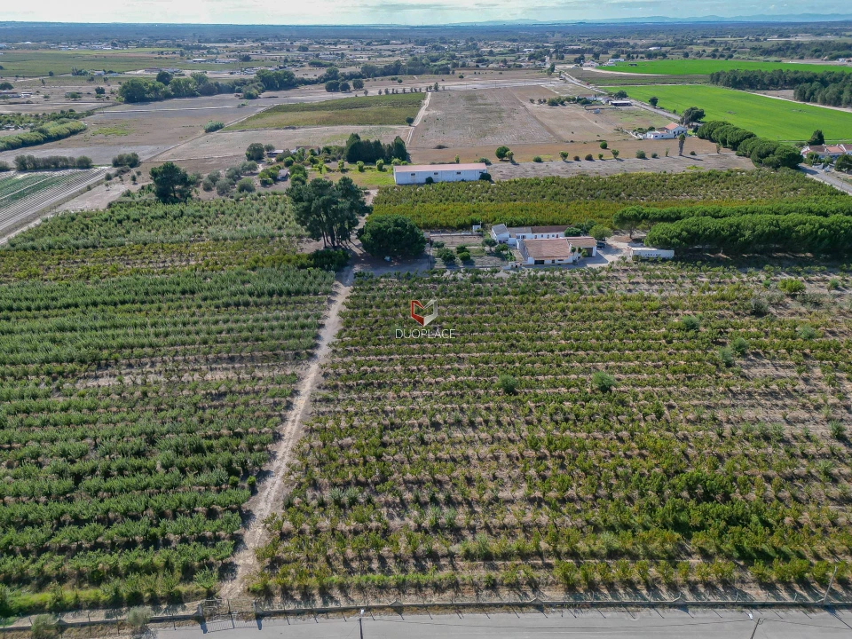 Quinta T0 para Venda em Poceirão e Marateca Foto 33
