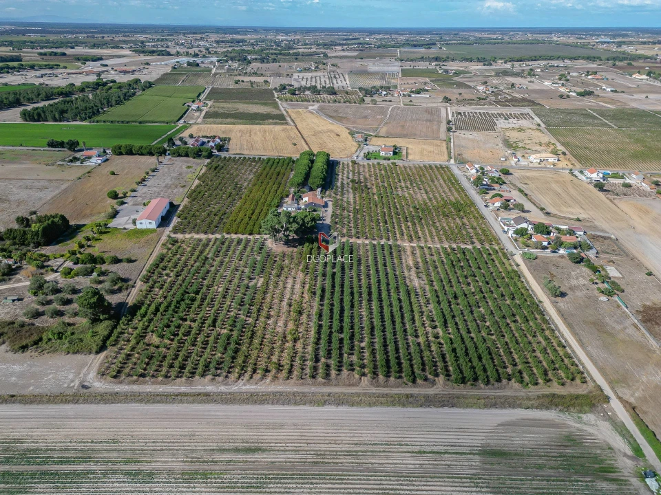 Quinta T0 para Venda em Poceirão e Marateca Foto 32