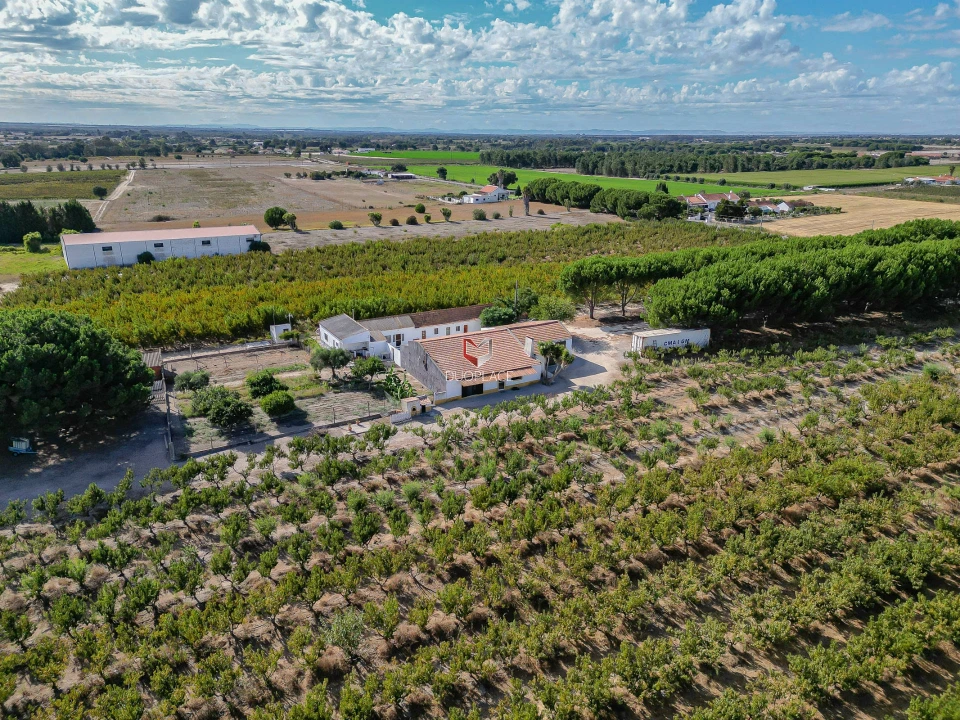 Quinta T0 para Venda em Poceirão e Marateca Foto 43
