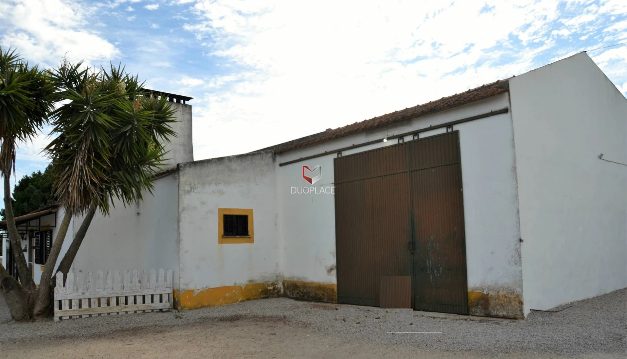 Quinta T0 para Venda em Poceirão e Marateca Foto 10