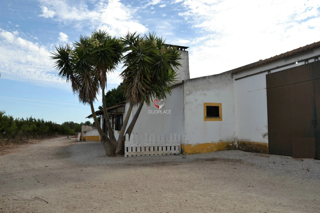 Quinta T0 para Venda em Poceirão e Marateca Foto 14