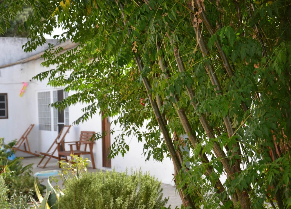 Quinta T0 para Venda em Poceirão e Marateca Foto 13