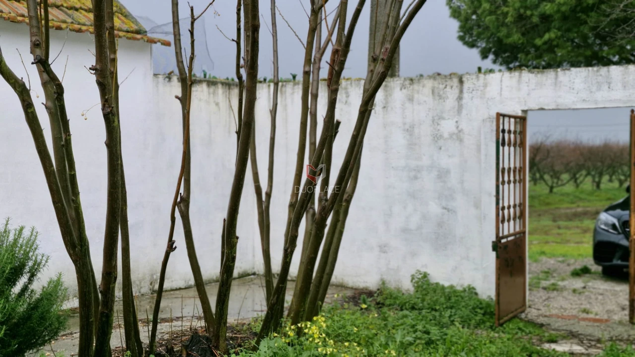 Quinta T0 para Venda em Poceirão e Marateca Foto 73