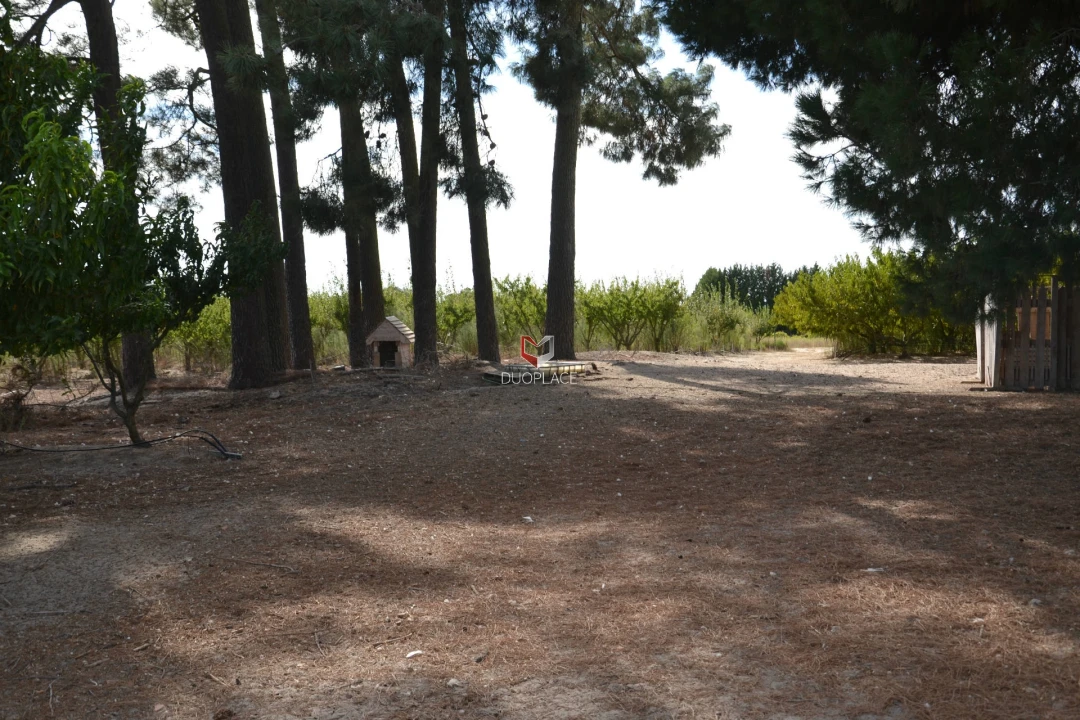 Quinta T0 para Venda em Poceirão e Marateca Foto 22