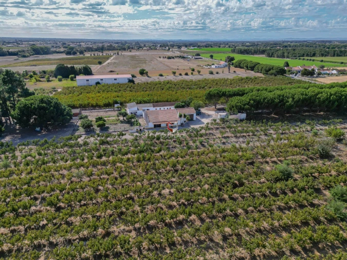 Quinta T0 para Venda em Poceirão e Marateca Foto 34