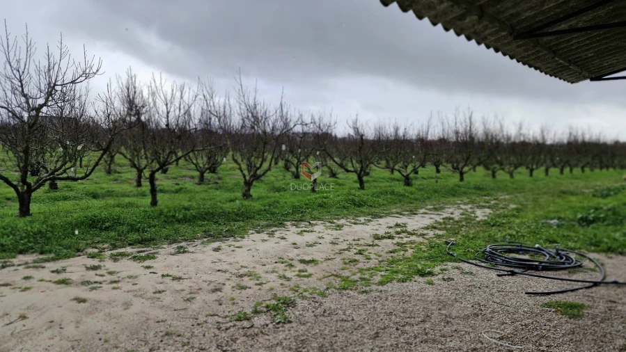 Quinta T0 para Venda em Poceirão e Marateca Foto 76