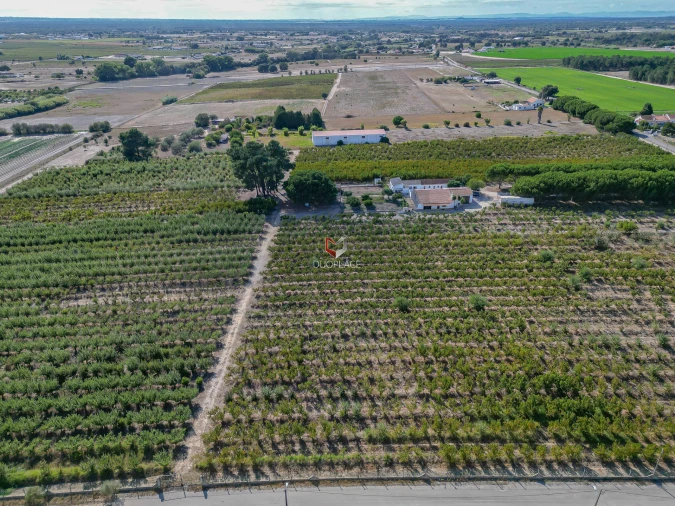 Quinta T0 para Venda em Poceirão e Marateca Foto 33