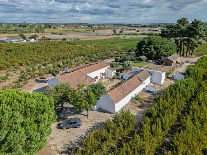 Quinta T0 para Venda em Poceirão e Marateca Foto 41