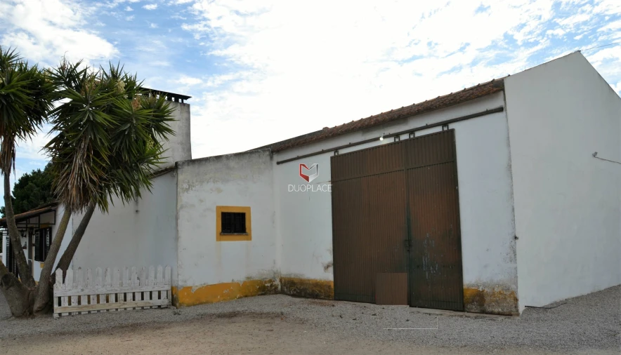 Quinta T0 para Venda em Poceirão e Marateca Foto 10