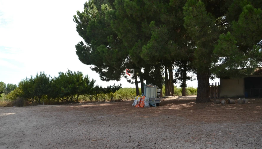 Quinta T0 para Venda em Poceirão e Marateca Foto 21