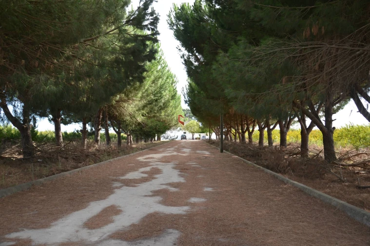 Quinta T0 para Venda em Poceirão e Marateca