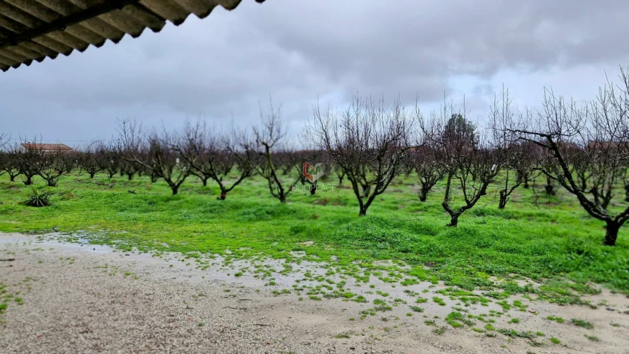 Quinta T0 para Venda em Poceirão e Marateca Foto 74
