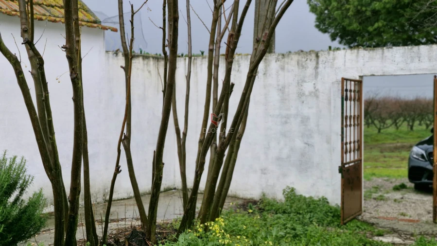 Quinta T0 para Venda em Poceirão e Marateca Foto 73