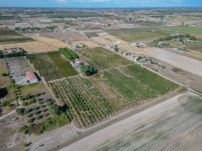 Quinta T0 para Venda em Poceirão e Marateca Foto 31