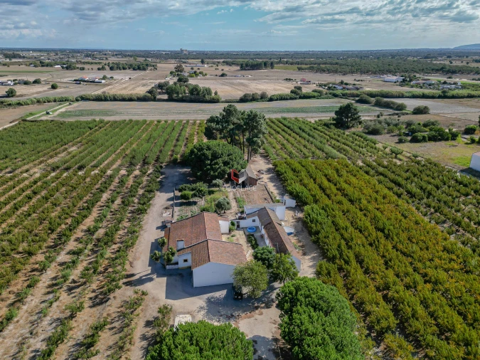 Quinta T0 para Venda em Poceirão e Marateca Foto 35