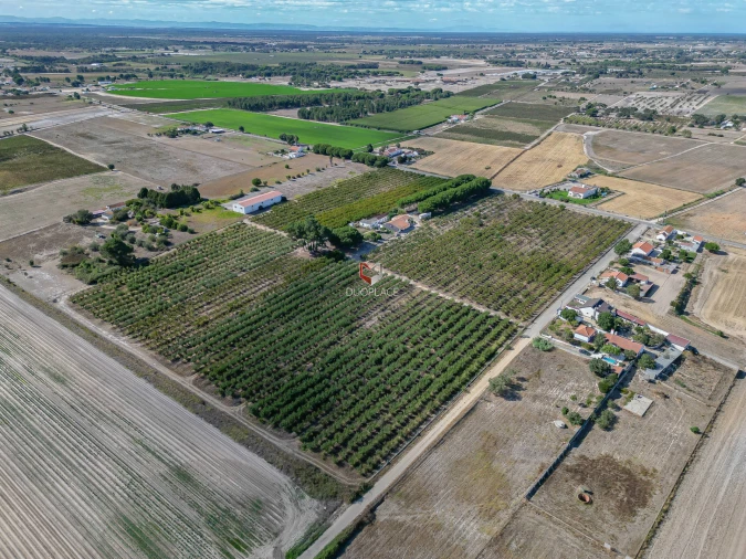 Quinta T0 para Venda em Poceirão e Marateca Foto 36