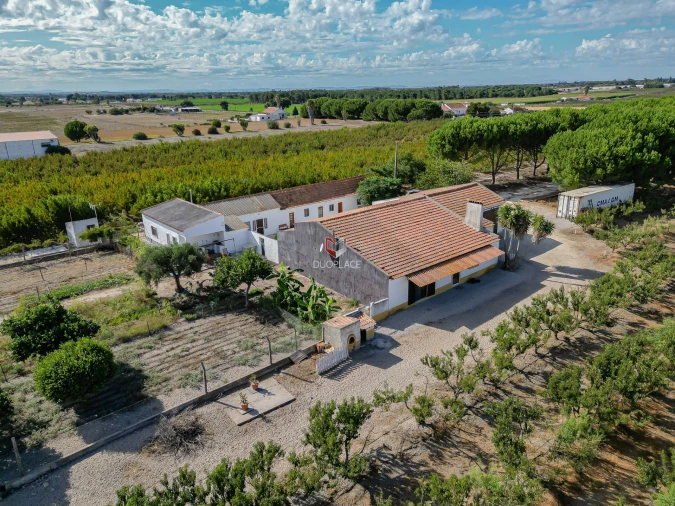 Quinta T0 para Venda em Poceirão e Marateca Foto 44