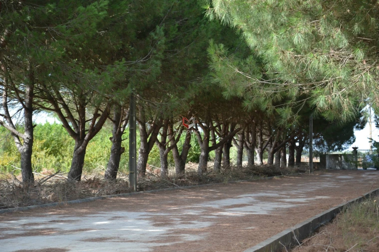 Quinta T0 para Venda em Poceirão e Marateca Foto 25