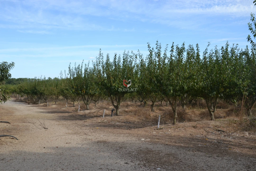Quinta T0 para Venda em Poceirão e Marateca Foto 23