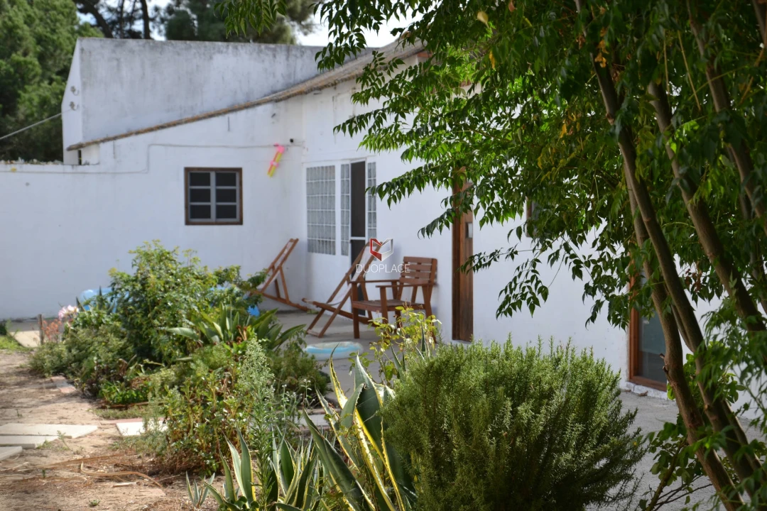 Quinta T0 para Venda em Poceirão e Marateca Foto 4