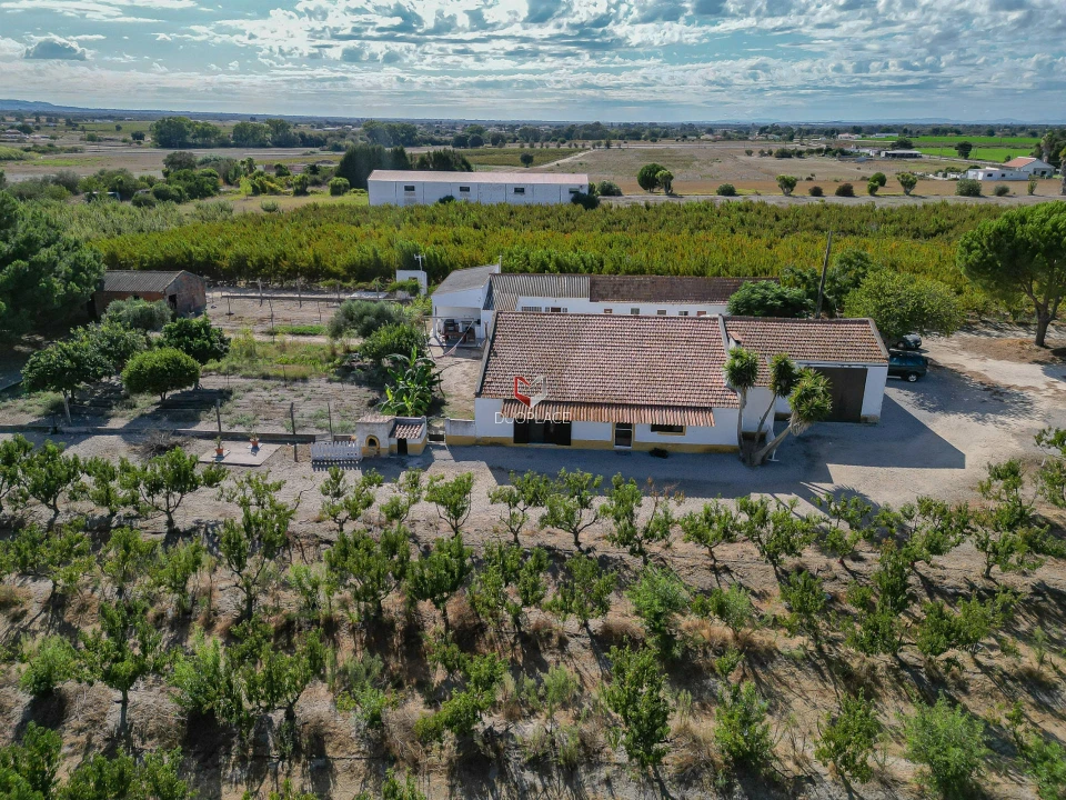 Quinta T0 para Venda em Poceirão e Marateca Foto 40