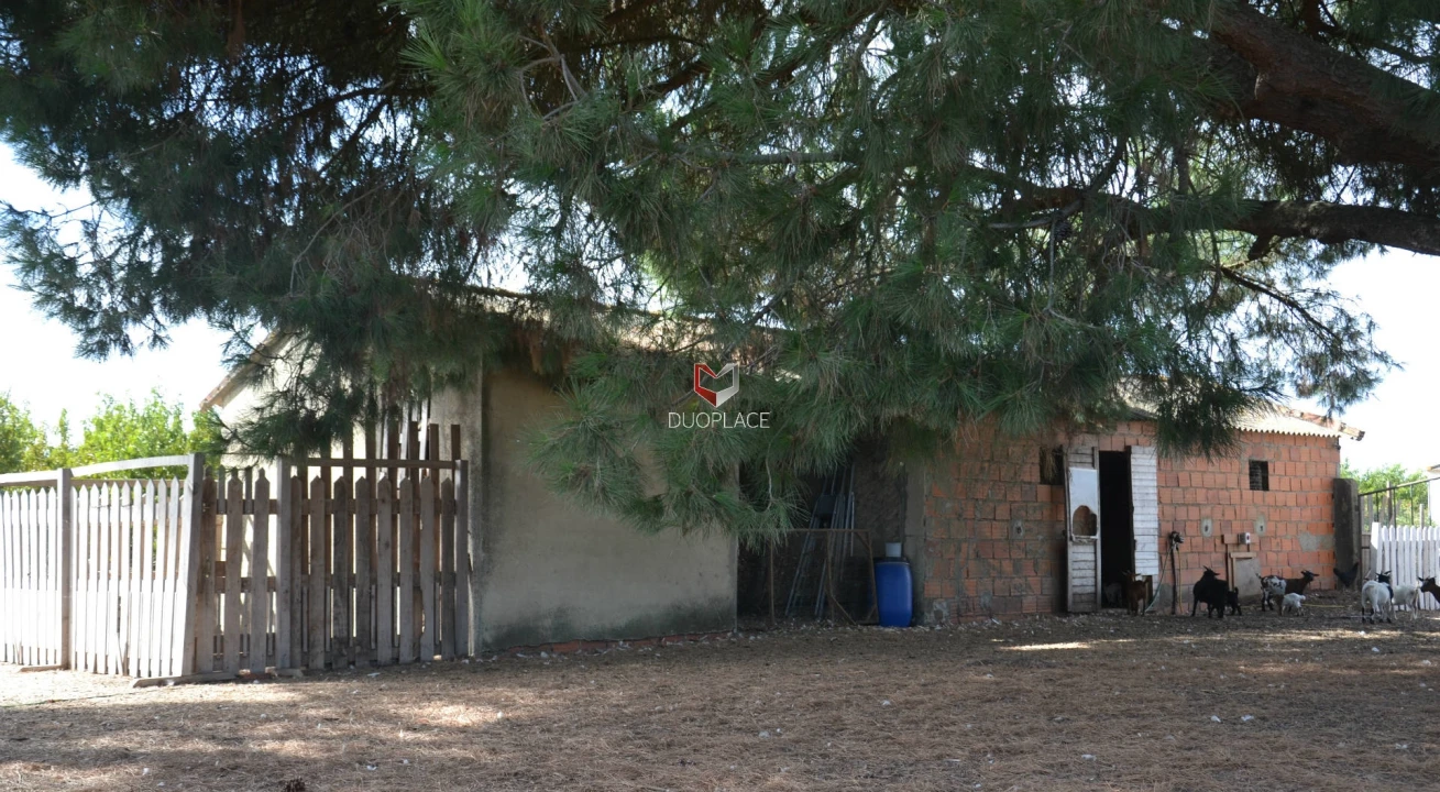 Quinta T0 para Venda em Poceirão e Marateca Foto 24