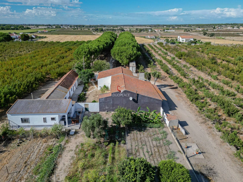 Quinta T0 para Venda em Poceirão e Marateca Foto 38
