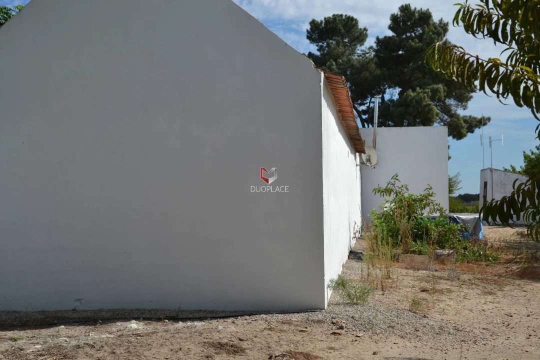 Quinta T0 para Venda em Poceirão e Marateca Foto 19