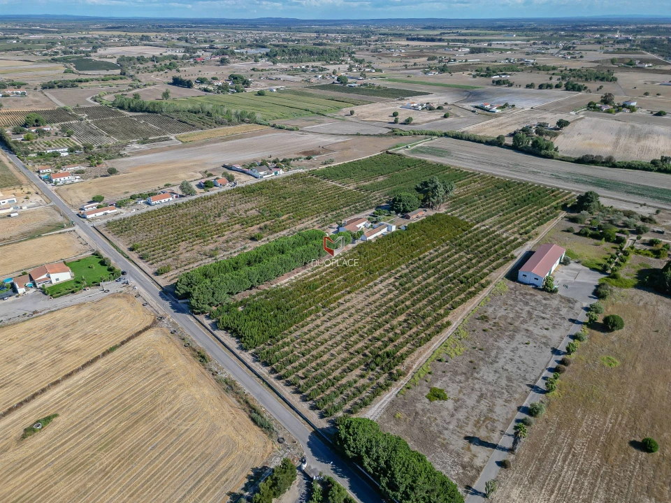 Quinta T0 para Venda em Poceirão e Marateca Foto 28