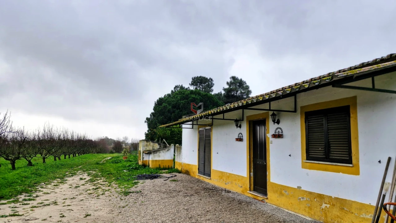 Quinta T0 para Venda em Poceirão e Marateca Foto 9