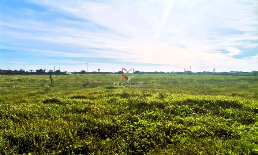 Terreno Misto para Venda em Samouco Foto 13