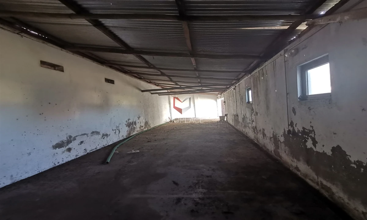 Moradia T6 para Venda em Atalaia e Alto Estanqueiro-Jardia Foto 51