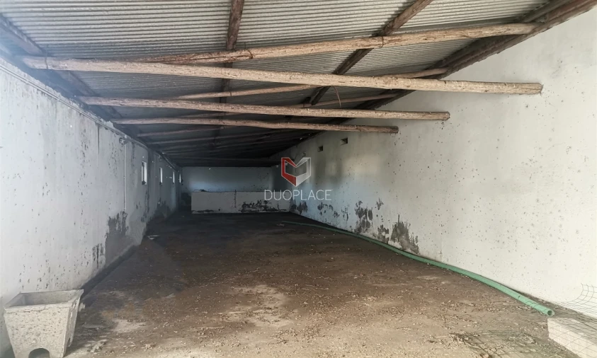 Moradia T6 para Venda em Atalaia e Alto Estanqueiro-Jardia Foto 49